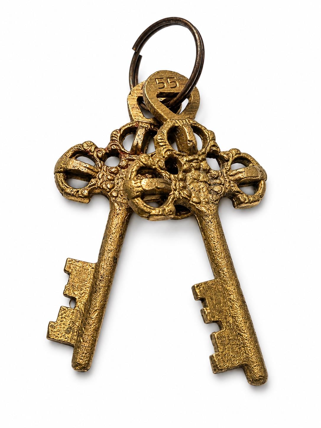 Vintage Brass Turtle Padlock with Keys – close-up detail